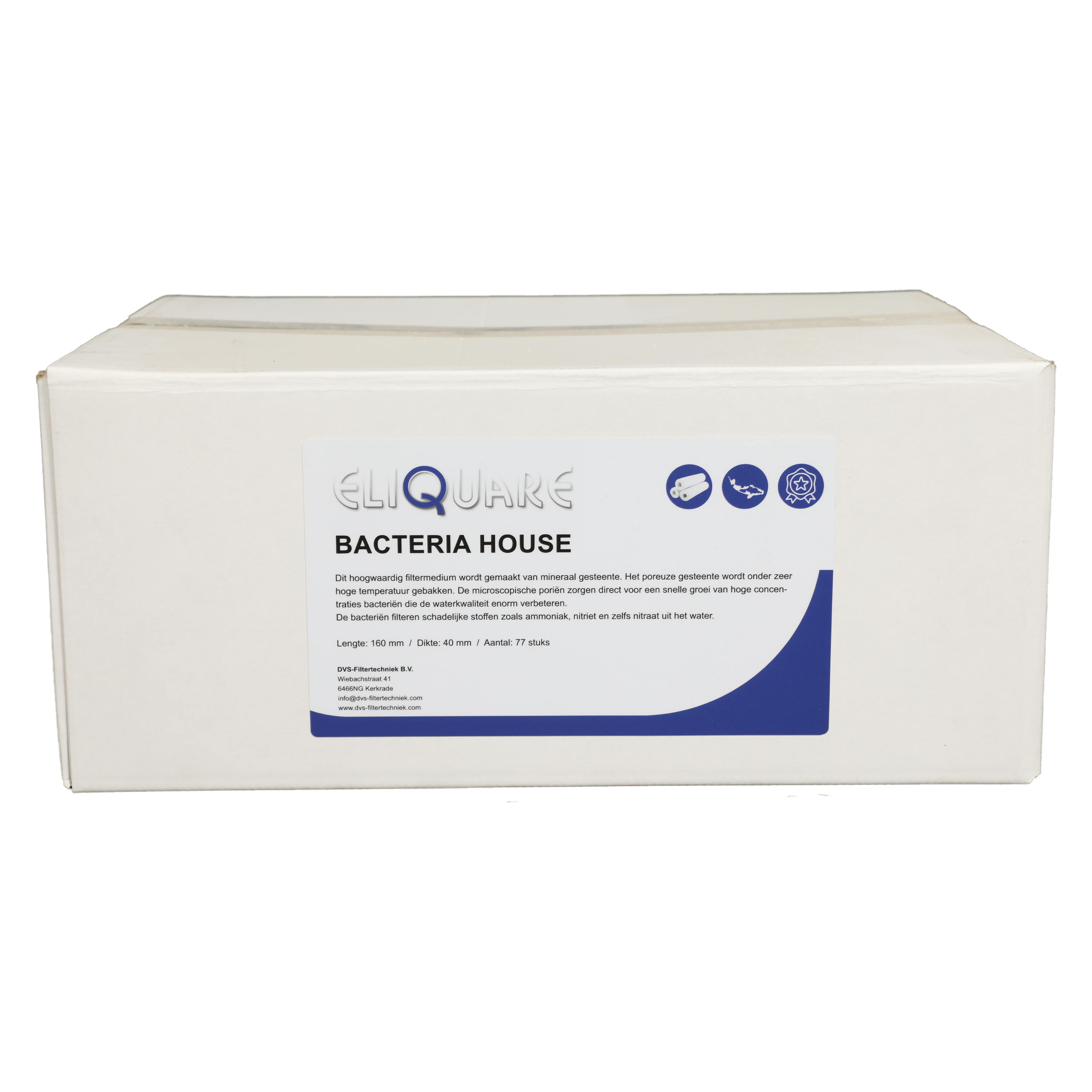 BACTERIA HAUS