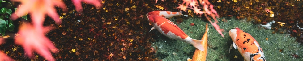 Vakmanschap dat je terugziet in water